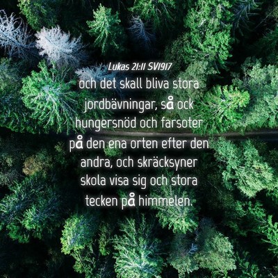 Picture 04 - Lukas 21:11 SV1917 - och det skall bliva stora jordbävningar, så ock - Bible Verse Picture