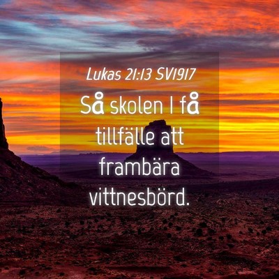 Picture 04 - Lukas 21:13 SV1917 - Så skolen I få tillfälle att frambära - Bible Verse Picture