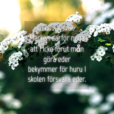 Picture 04 - Lukas 21:14 SV1917 - Märken därför noga att I icke förut mån - Bible Verse Picture