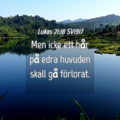 Picture 04 - Lukas 21:18 SV1917 - Men icke ett hår på edra huvuden skall gå - Bible Verse Picture
