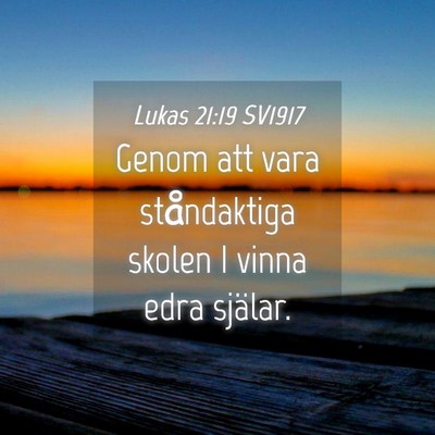 Picture 04 - Lukas 21:19 SV1917 - Genom att vara ståndaktiga skolen I vinna edra - Bible Verse Picture