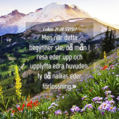 Picture 04 - Lukas 21:28 SV1917 - Men när detta begynner ske, då mån I resa eder - Bible Verse Picture