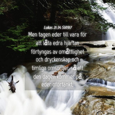 Picture 04 - Lukas 21:34 SV1917 - Men tagen eder till vara för att låta edra - Bible Verse Picture