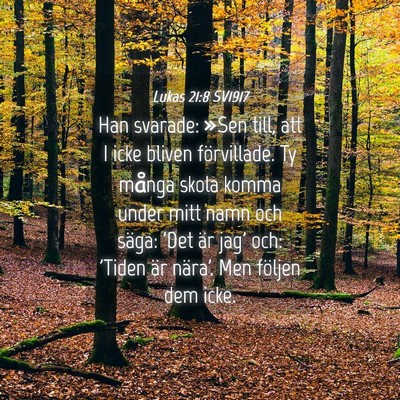 Picture 04 - Lukas 21:8 SV1917 - Han svarade: »Sen till, att I icke bliven - Bible Verse Picture