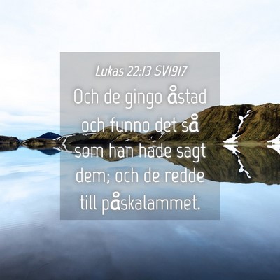 Picture 04 - Lukas 22:13 SV1917 - Och de gingo åstad och funno det så som han - Bible Verse Picture