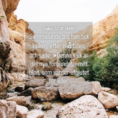 Picture 04 - Lukas 22:20 SV1917 - Sammalunda tog han ock kalken, efter måltiden, - Bible Verse Picture