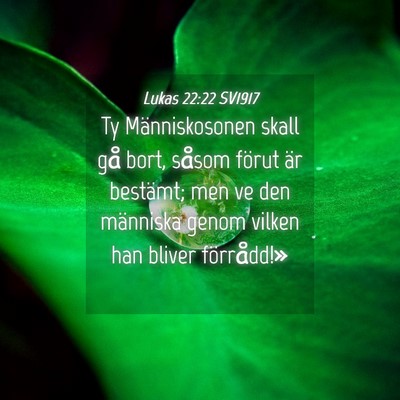 Picture 04 - Lukas 22:22 SV1917 - Ty Människosonen skall gå bort, såsom förut - Bible Verse Picture