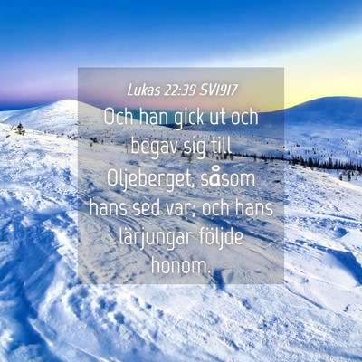 Picture 04 - Lukas 22:39 SV1917 - Och han gick ut och begav sig till Oljeberget, - Bible Verse Picture