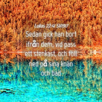 Picture 04 - Lukas 22:41 SV1917 - Sedan gick han bort ifrån dem, vid pass ett - Bible Verse Picture