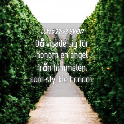 Picture 04 - Lukas 22:43 SV1917 - Då visade sig för honom en ängel från - Bible Verse Picture