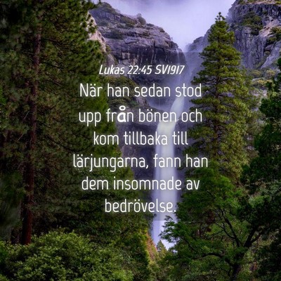 Picture 04 - Lukas 22:45 SV1917 - När han sedan stod upp från bönen och kom - Bible Verse Picture