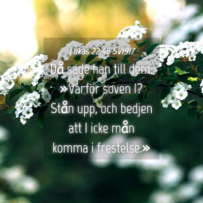 Picture 04 - Lukas 22:46 SV1917 - Då sade han till dem: »Varför soven I? Stån - Bible Verse Picture