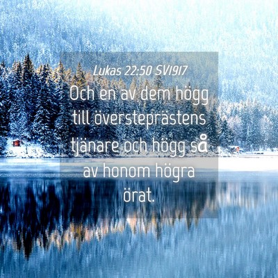 Picture 04 - Lukas 22:50 SV1917 - Och en av dem högg till översteprästens - Bible Verse Picture
