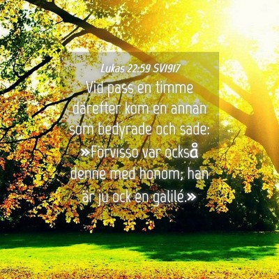 Picture 04 - Lukas 22:59 SV1917 - Vid pass en timme därefter kom en annan som - Bible Verse Picture