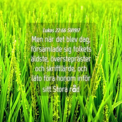 Picture 04 - Lukas 22:66 SV1917 - Men när det blev dag, församlade sig folkets - Bible Verse Picture