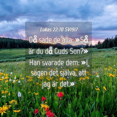 Picture 04 - Lukas 22:70 SV1917 - Då sade de alla: »Så är du då Guds Son?» - Bible Verse Picture