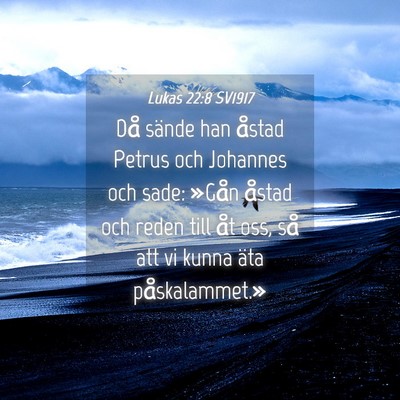 Picture 04 - Lukas 22:8 SV1917 - Då sände han åstad Petrus och Johannes och - Bible Verse Picture
