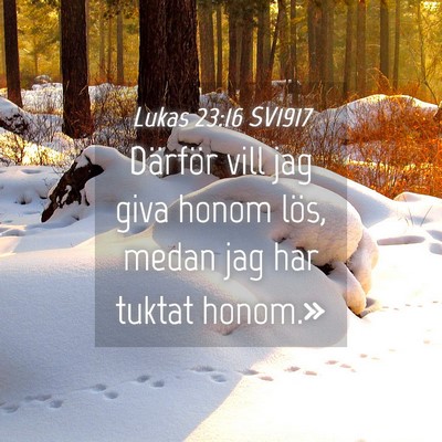 Picture 04 - Lukas 23:16 SV1917 - Därför vill jag giva honom lös, medan jag har - Bible Verse Picture