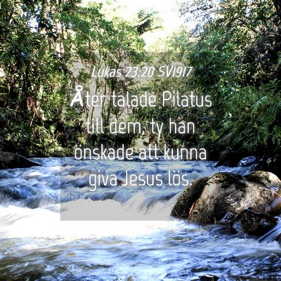 Picture 04 - Lukas 23:20 SV1917 - Åter talade Pilatus till dem, ty han önskade - Bible Verse Picture