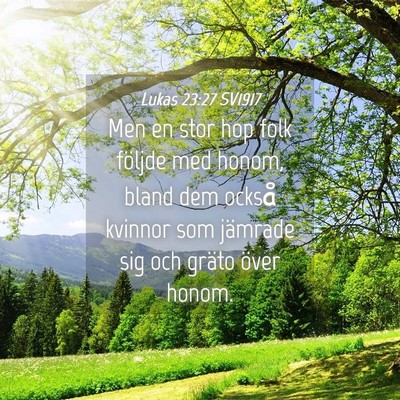 Picture 04 - Lukas 23:27 SV1917 - Men en stor hop folk följde med honom, bland dem - Bible Verse Picture
