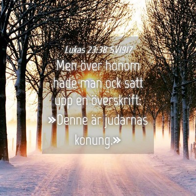 Picture 04 - Lukas 23:38 SV1917 - Men över honom hade man ock satt upp en - Bible Verse Picture