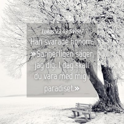 Picture 04 - Lukas 23:43 SV1917 - Han svarade honom: »Sannerligen säger jag dig: - Bible Verse Picture