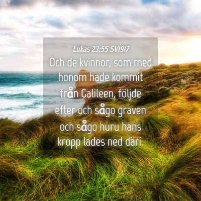 Picture 04 - Lukas 23:55 SV1917 - Och de kvinnor, som med honom hade kommit från - Bible Verse Picture