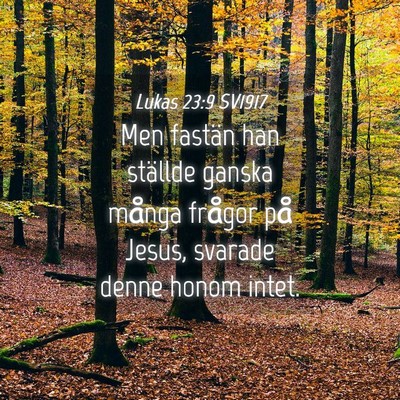 Picture 04 - Lukas 23:9 SV1917 - Men fastän han ställde ganska många frågor - Bible Verse Picture