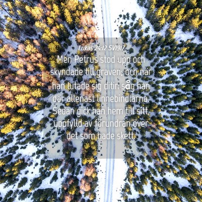 Picture 04 - Lukas 24:12 SV1917 - Men Petrus stod upp och skyndade till graven; och - Bible Verse Picture