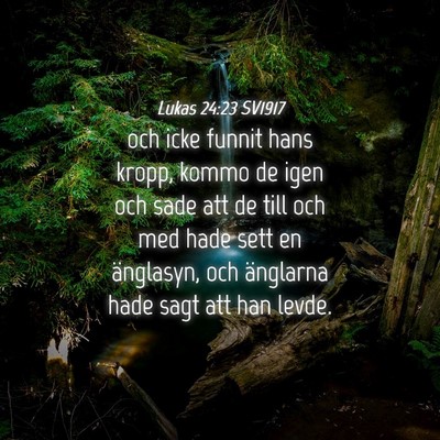 Picture 04 - Lukas 24:23 SV1917 - och icke funnit hans kropp, kommo de igen och - Bible Verse Picture