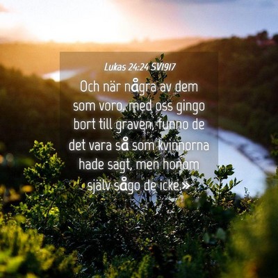 Picture 04 - Lukas 24:24 SV1917 - Och när några av dem som voro. med oss gingo - Bible Verse Picture
