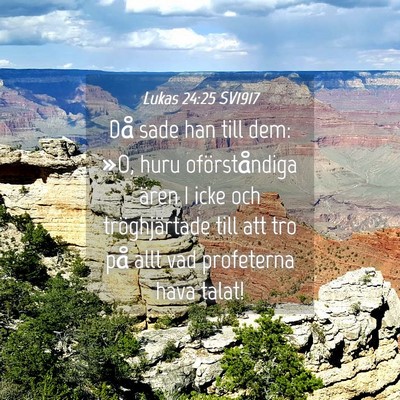 Picture 04 - Lukas 24:25 SV1917 - Då sade han till dem: »O, huru oförståndiga - Bible Verse Picture
