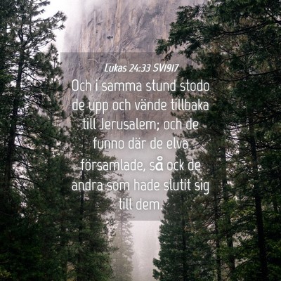 Picture 04 - Lukas 24:33 SV1917 - Och i samma stund stodo de upp och vände - Bible Verse Picture