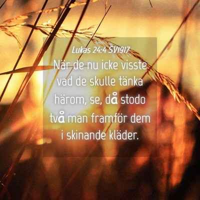 Picture 04 - Lukas 24:4 SV1917 - När de nu icke visste vad de skulle tänka - Bible Verse Picture