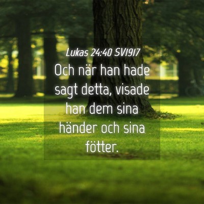 Picture 04 - Lukas 24:40 SV1917 - Och när han hade sagt detta, visade han dem sina - Bible Verse Picture