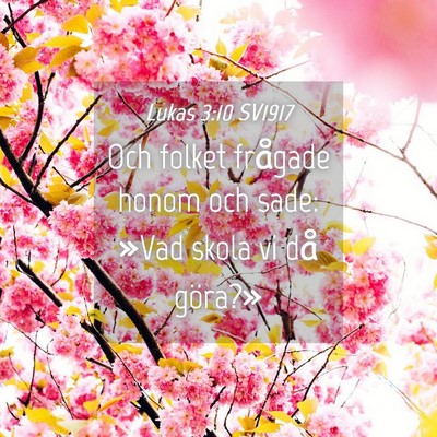 Picture 04 - Lukas 3:10 SV1917 - Och folket frågade honom och sade: »Vad skola - Bible Verse Picture