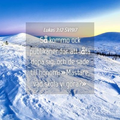 Picture 04 - Lukas 3:12 SV1917 - Så kommo ock publikaner för att låta döpa - Bible Verse Picture
