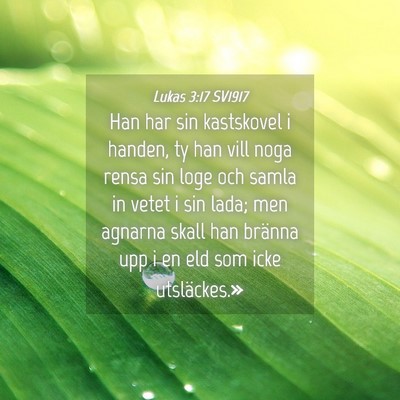 Picture 04 - Lukas 3:17 SV1917 - Han har sin kastskovel i handen, ty han vill noga - Bible Verse Picture
