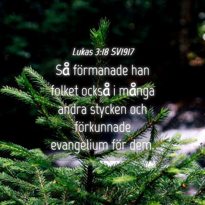 Picture 04 - Lukas 3:18 SV1917 - Så förmanade han folket också i många andra - Bible Verse Picture