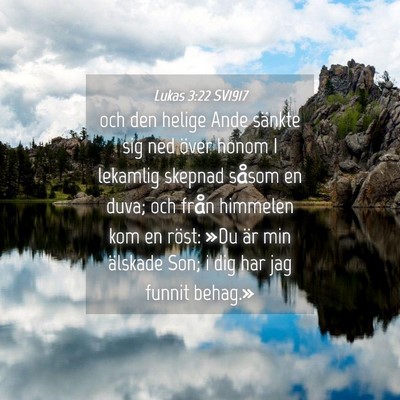 Picture 04 - Lukas 3:22 SV1917 - och den helige Ande sänkte sig ned över honom I - Bible Verse Picture