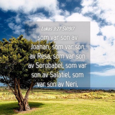 Picture 04 - Lukas 3:27 SV1917 - som var son av Joanan, som var son av Resa, som - Bible Verse Picture