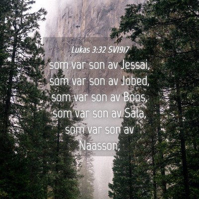Picture 04 - Lukas 3:32 SV1917 - som var son av Jessai, som var son av Jobed, som - Bible Verse Picture