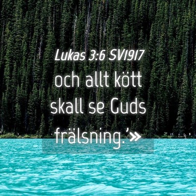 Picture 04 - Lukas 3:6 SV1917 - och allt kött skall se Guds - Bible Verse Picture