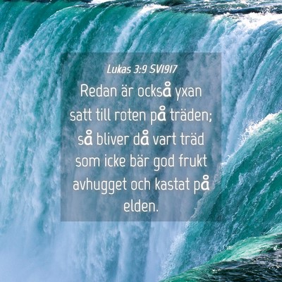 Picture 04 - Lukas 3:9 SV1917 - Redan är också yxan satt till roten på - Bible Verse Picture