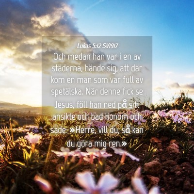 Picture 04 - Lukas 5:12 SV1917 - Och medan han var i en av städerna, hände sig, - Bible Verse Picture