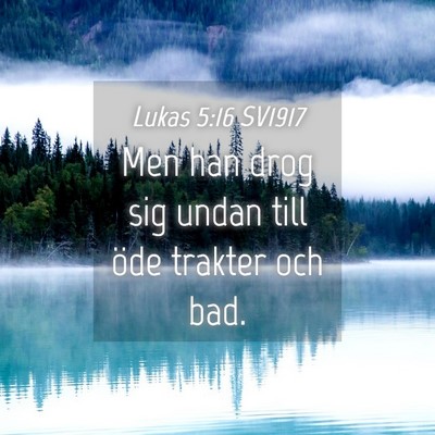 Picture 04 - Lukas 5:16 SV1917 - Men han drog sig undan till öde trakter och - Bible Verse Picture