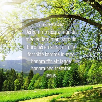 Picture 04 - Lukas 5:18 SV1917 - Då kommo några män dit med en lam man, som de - Bible Verse Picture