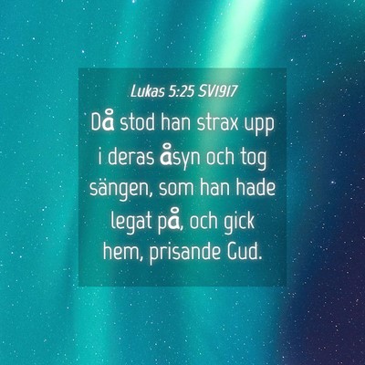 Picture 04 - Lukas 5:25 SV1917 - Då stod han strax upp i deras åsyn och tog - Bible Verse Picture