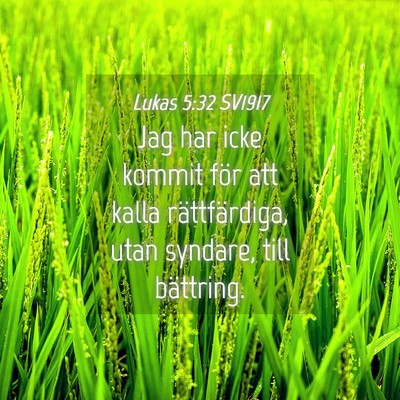 Picture 04 - Lukas 5:32 SV1917 - Jag har icke kommit för att kalla rättfärdiga, - Bible Verse Picture