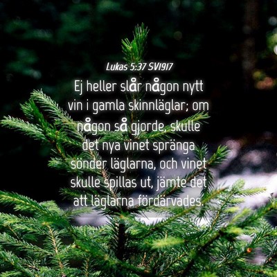 Picture 04 - Lukas 5:37 SV1917 - Ej heller slår någon nytt vin i gamla - Bible Verse Picture
